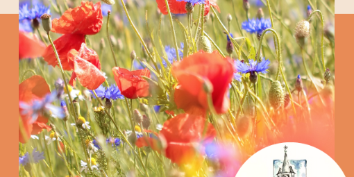 Pfarrbrief Südwind Sommer